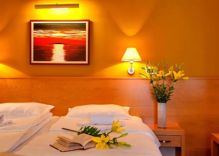 Boutique Saudade Gradac